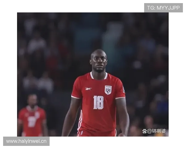 美加墨世界杯期间针对恐怖主义的防范预案